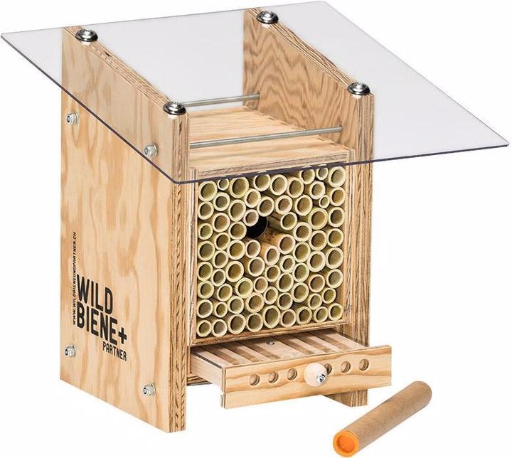 Wildbiene BeeHome Observer (Bee)