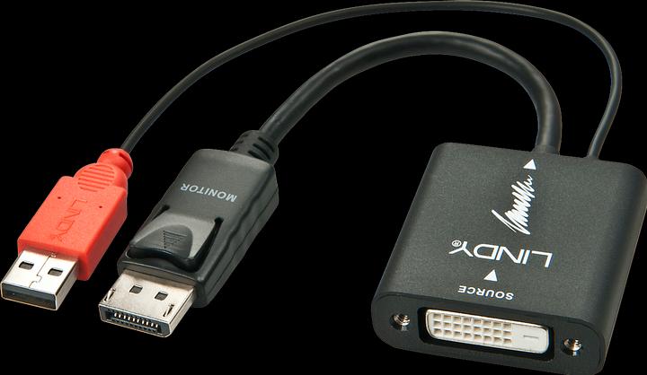 Actual product image Lindy Converter DVI-D to DisplayPort (UNIDIRECTIONAL). DVI-D female to DP male. (DP, 15 cm)