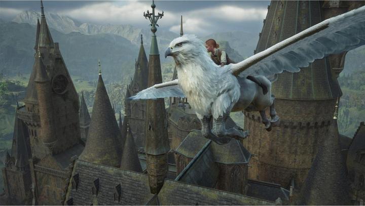 Produktbild WB Hogwarts Legacy (Switch 2, DE)