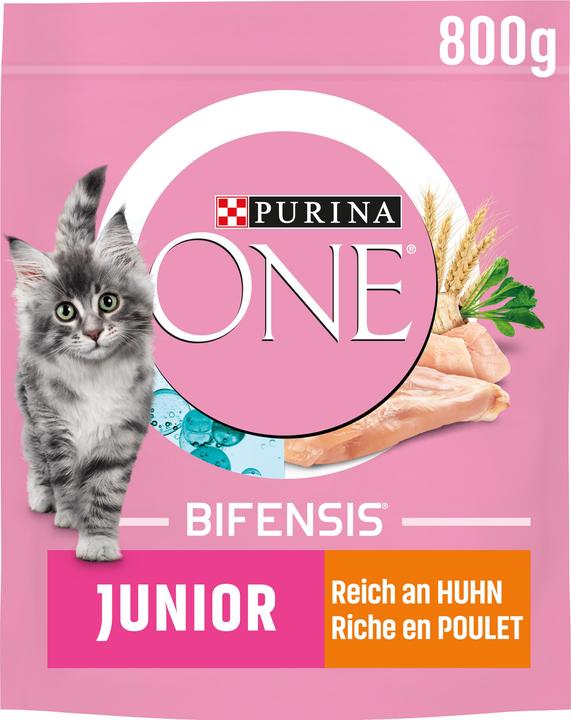Image du produit Purina ONE Fourrage séché (Junior, 1 pcs, 800 g)
