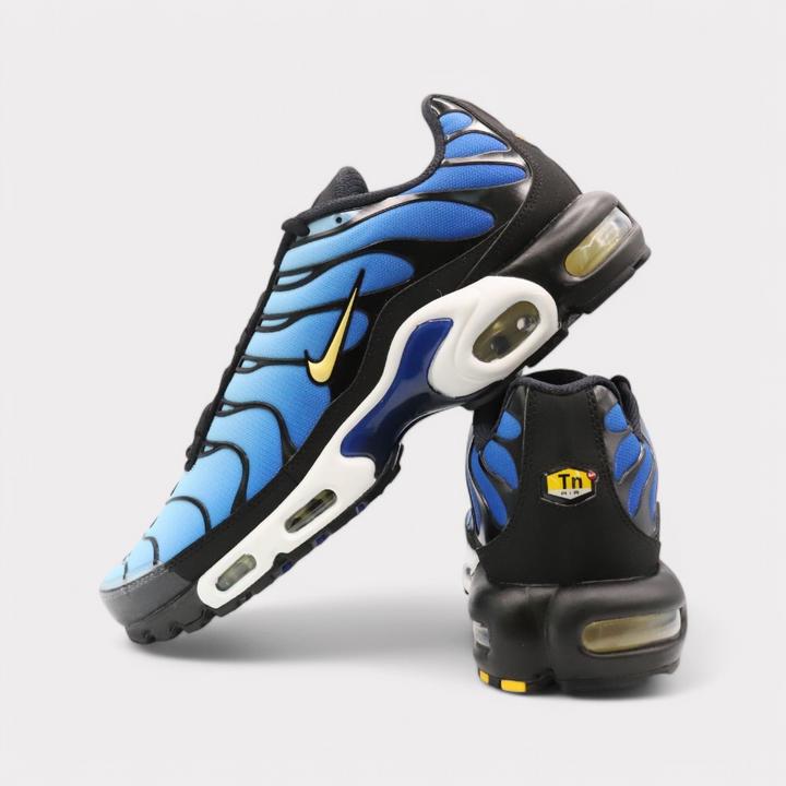 Image du produit Nike Air Max Plus OG (40.5)