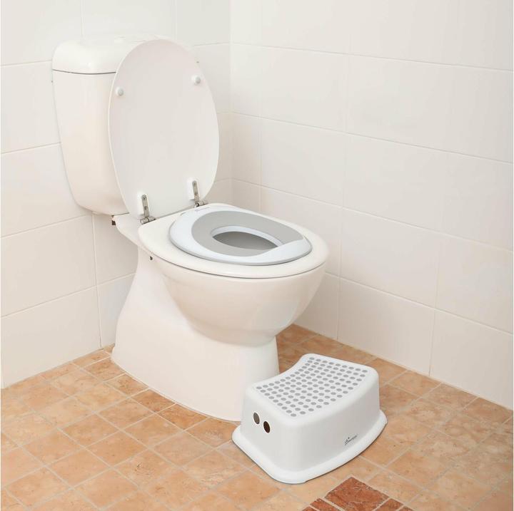 Actual product image Dreambaby Toilet seat & step stool