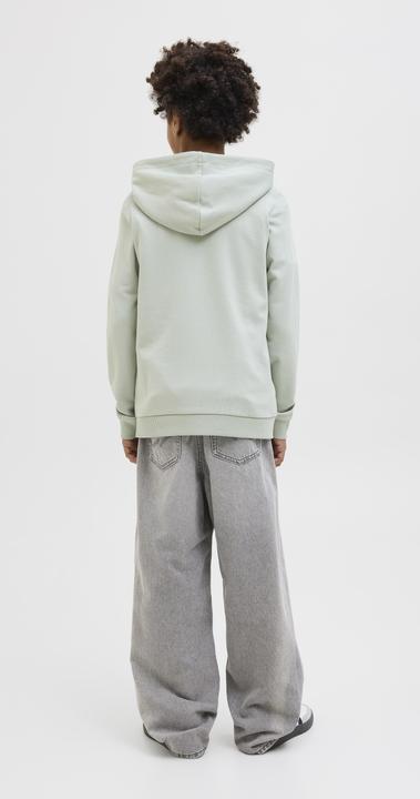 Actual product image Jack & Jones Jcologan Ss24 Print Sweat Hood Sn Jnr (128)