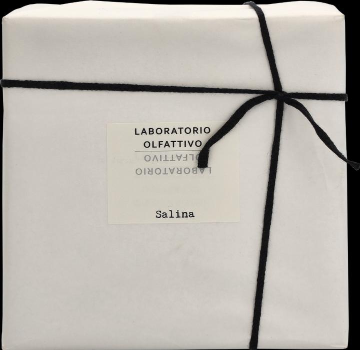 Immagine prodotto Laboratorio Olfattivo Salina (Eau de parfum, 100 ml)
