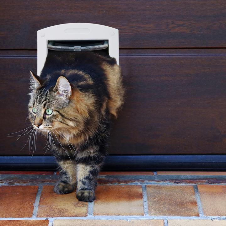 Actual product image Relaxdays 4 Way Pet Door (Manual cat flap)