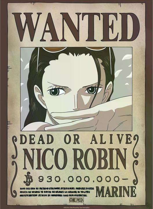 Immagine prodotto GB Eye One Piece - Nami e Robin