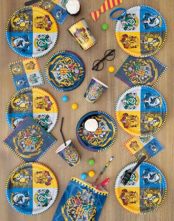 Actual product image Unique Party Harry Potter