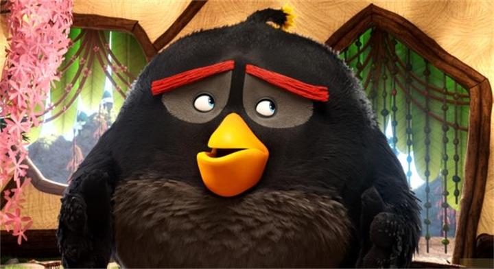 Actual product image Angry Birds - The Movie (Blu-ray, 2016, German, Turkish, Polish, Hindi, Italian, English)