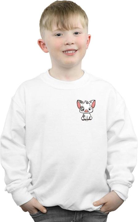 Image du produit Disney - Sweat MOANA PUA THE PIG BREAST PRINT - Garçon (140, 146)