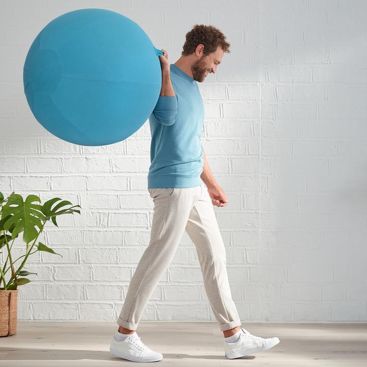 Image du produit Leitz Ballon-siège Ergo Cosy Active (65 cm)
