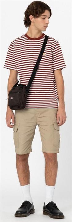 Actual product image Dickies Millerville Shorts - 81693 (32)