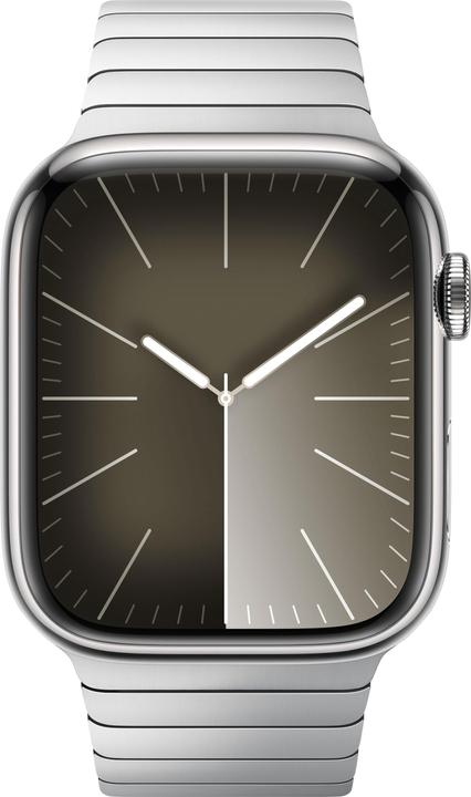 Immagine prodotto Apple Bracciale con link (42 mm, Acciaio inossidabile, Apple Watch Series 9)