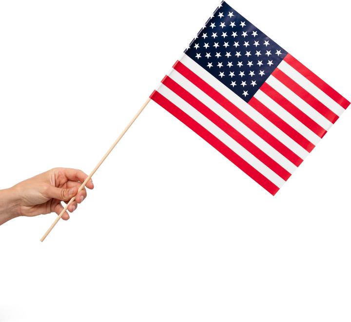 Procos USA Papier Handfahnen:1