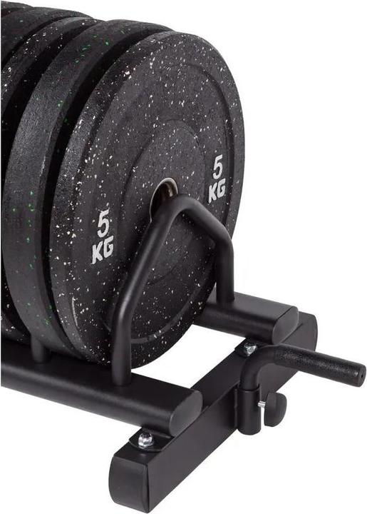 Actual product image Fitcom Disc stand bumper plates