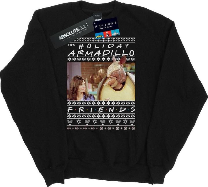 Actual product image Friends Mens Fair Isle Holiday Armadillo Sweatshirt (S)