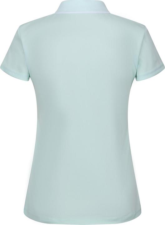 Actual product image Regatta Womens/Ladies Maverick V Polo Shirt (36 D)