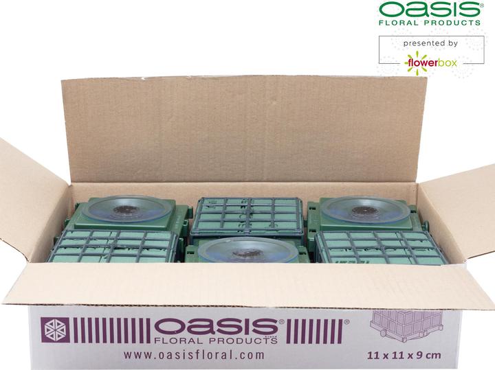 Actual product image Oasis Auto Corso 11 x 11 x 9 cm, 6 pieces