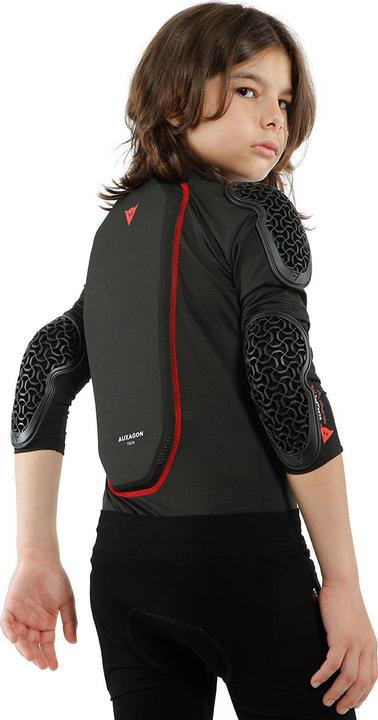 Produktbild Dainese Scarabeo Pro (XL, Brustprotektor, Rückenprotektor, Einzelstück)