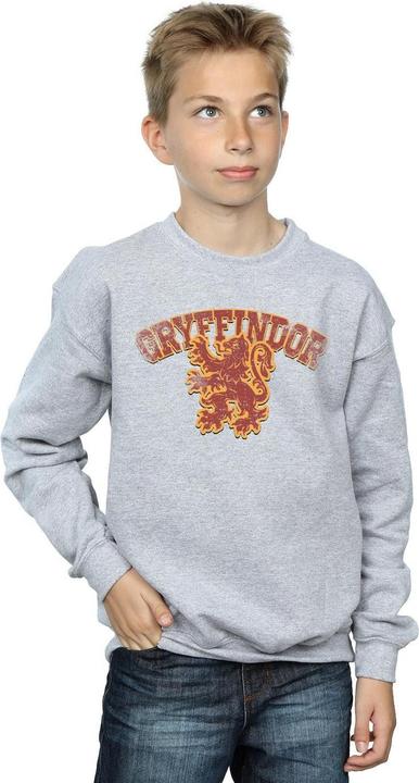 Immagine prodotto Gryffindor Sport Emblem Felpa Ragazzi (128)