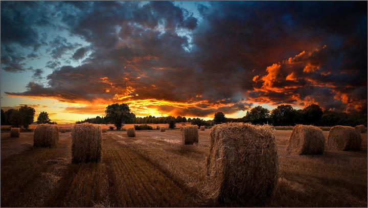 Image du produit Samsung VM55B-U (1920 x 1080 pixels, 55")