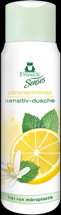 Produktbild Frosch Minzempfindlichkeit, Duschgel, 300 ml (300 ml)