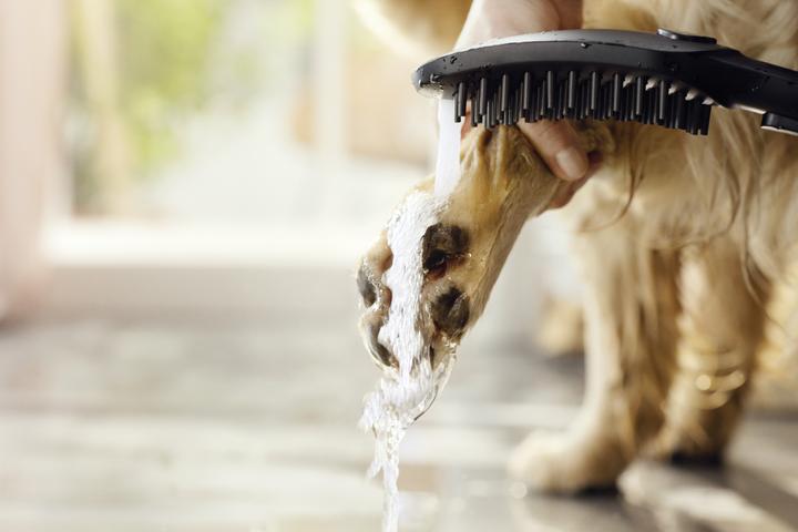Productafbeelding hansgrohe DogShower hondendouche 150 (3 straalsoorten) (3 Typen balken, 7.60 l/min)