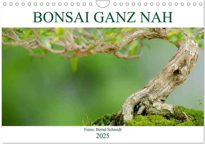 Image du produit Bonsai ganz nah (Wandkalender 2025 DIN A4 quer), Monatskalender (A4, Allemand)