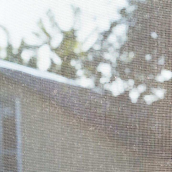 Actual product image Siena Garden Fliegengitter 1,5 m x 1,8 m weiss für Fenster mit Klettband