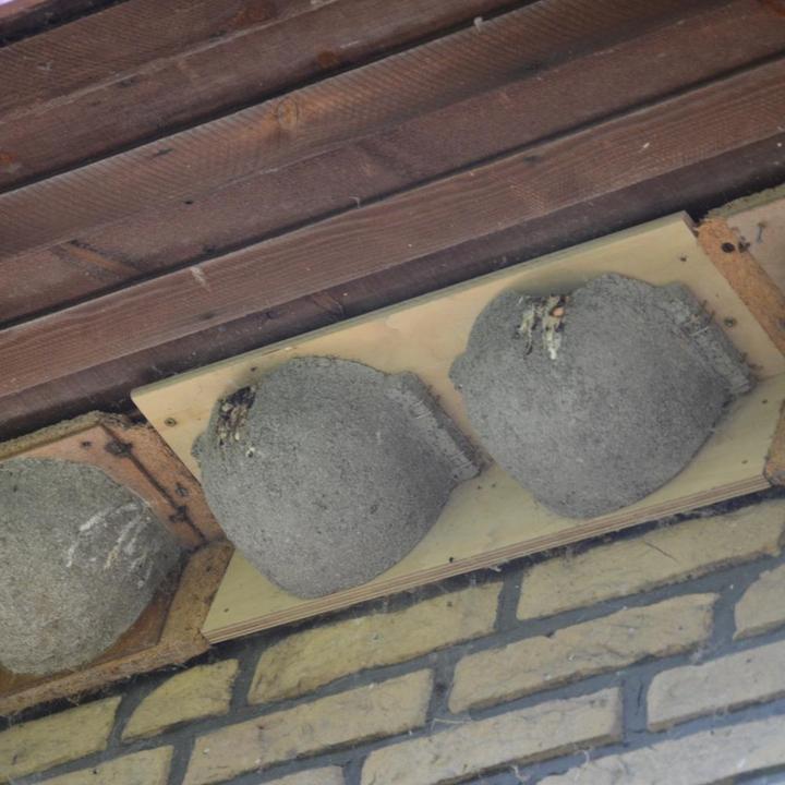 Actual product image Siena Garden House Martins Double nest