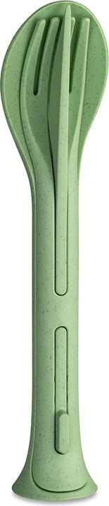 Nature leaf green