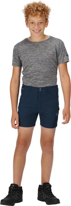 Actual product image Regatta Highton Shorts (140)