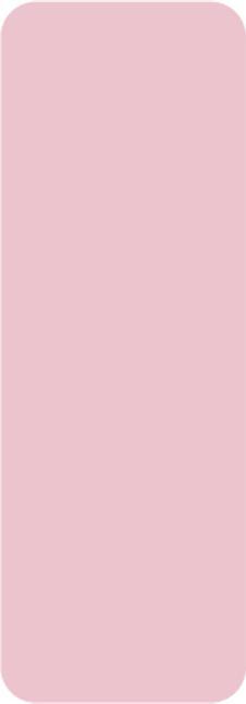 Niimbot Thermal Stickers 14x40 160 pcs. (Pink)