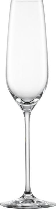 Actual product image Schott Zwiesel Fortissimo champagne glass (24 cl, 4 Glasses, Champagne glasses)