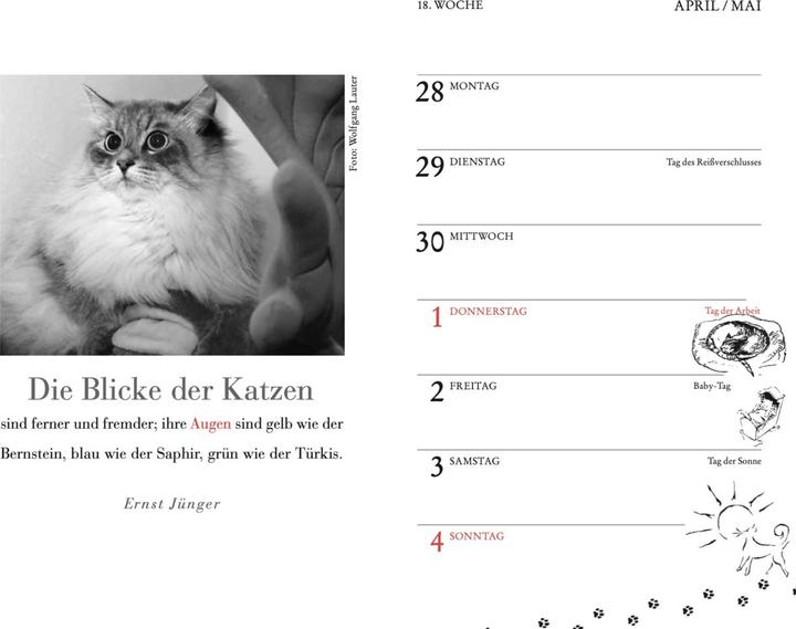 Image du produit Calendrier de poche pour chats 2025 (9,5 x 15 cm, Couverture rigide, Allemand)