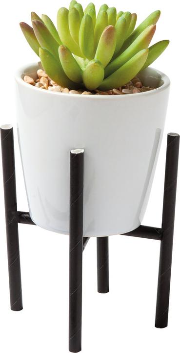 Immagine prodotto Folia Cannucce (25 x)