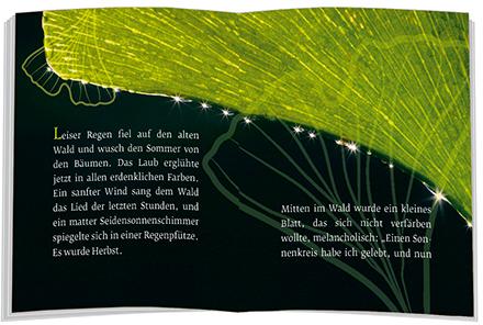 Image du produit Das Märchen vom Ginkgoblatt (Allemand, Ulrich Peters, 2020)