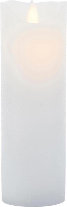 Actual product image Sirius Sara (1 x)