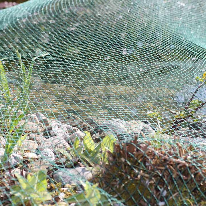 Produktbild Siena Garden Teichabdecknetz