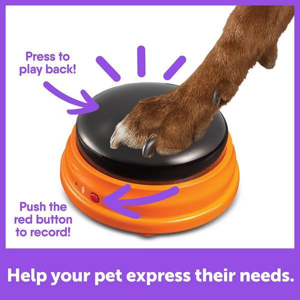 Immagine prodotto Hunger for Words Set iniziale di animali parlanti (Giocattolo di attività per cani)