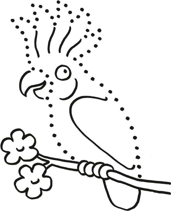 Actual product image My thick kindergarten colouring pad