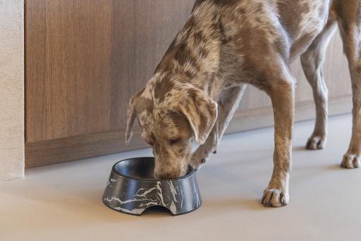 Actual product image Designed by Lotte Dog bowl Meis (0.70 l)