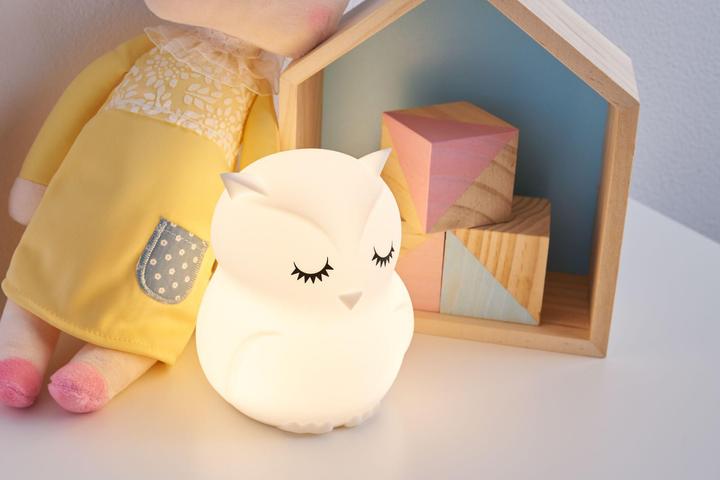 Actual product image Pauleen Owl