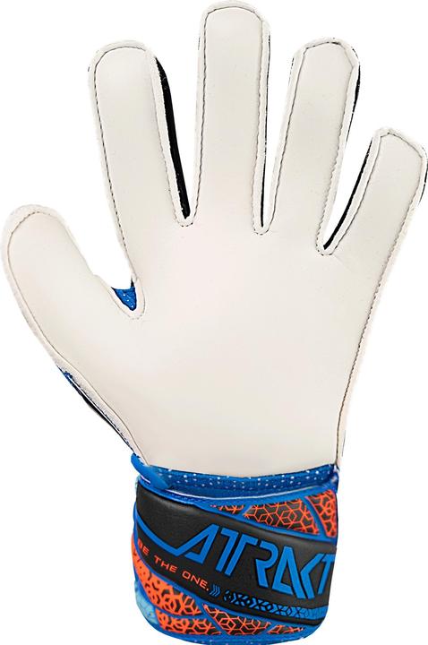 Image du produit Reusch Football Attrakt Solid (7.5)