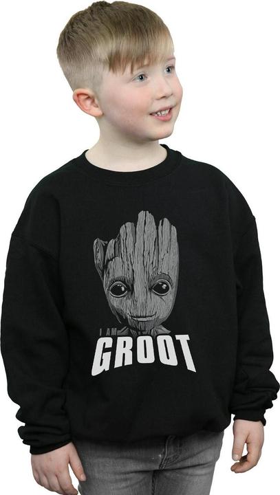 Produktbild Guardians Of The Galaxy Groot Face Sweatshirt Jungen (116)