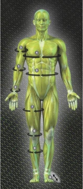 Image du produit Select Bandage De Compression Pour Mollet (M)