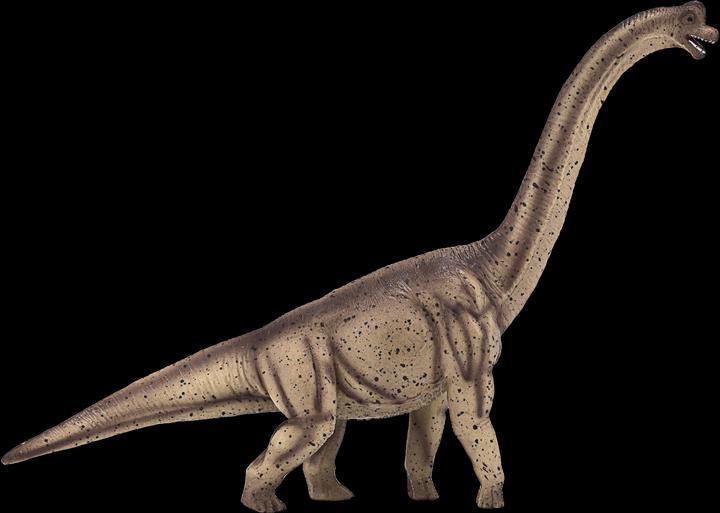 Image du produit small foot Brachiosaure