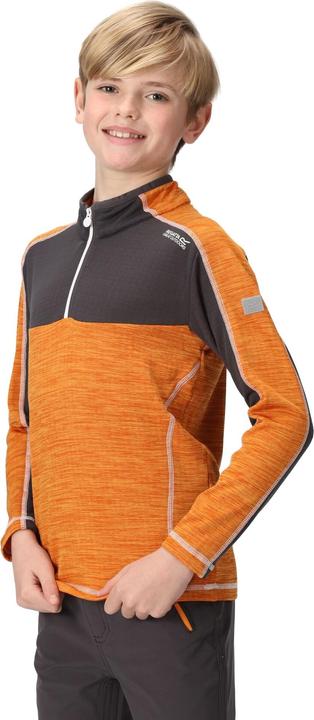 Actual product image Regatta Childrens/Kids Hewley Recycled Half Zip Fleece Top (164)