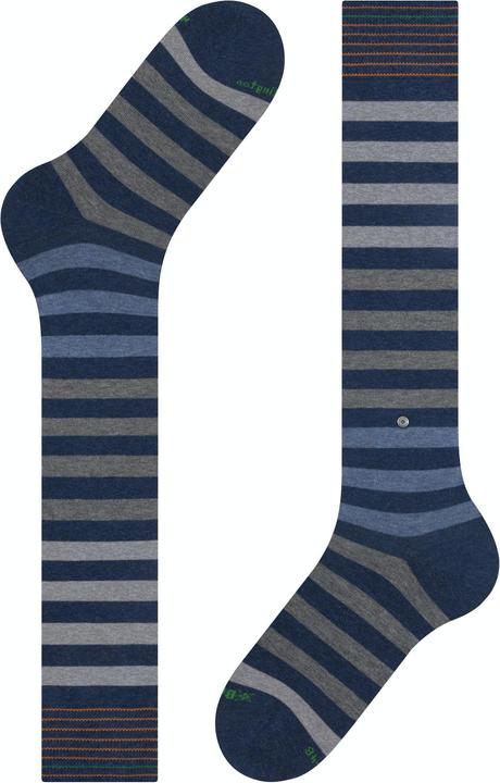 Actual product image Burlington Blackpool (Single pack, 40 - 46)