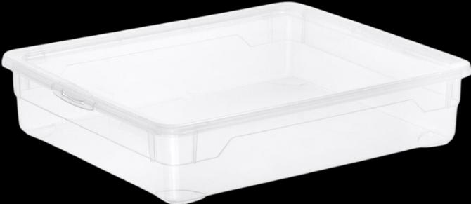 Image du produit Rotho Clair (40 x 33.5 x 8.5 cm, 9 l)