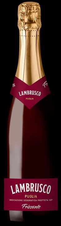 Actual product image Cantine Riunite Lambrusco Vino Rosso Frizzante (6 x 75 cl)
